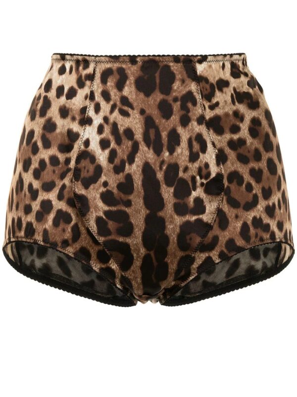Dolce & Gabbana  leopard-print high-waisted briefs