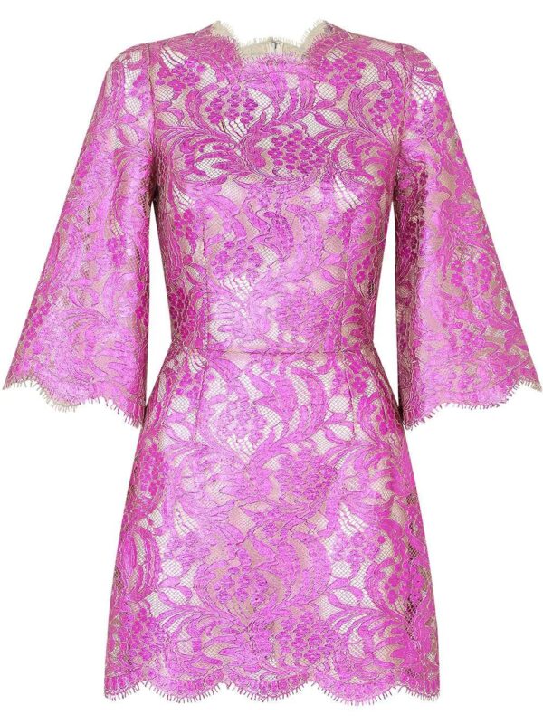 Dolce & Gabbana  floral-lace sheer minidress