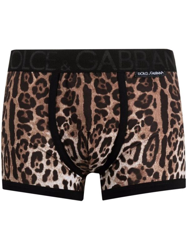 Dolce & Gabbana  leopard-print boxer trunks