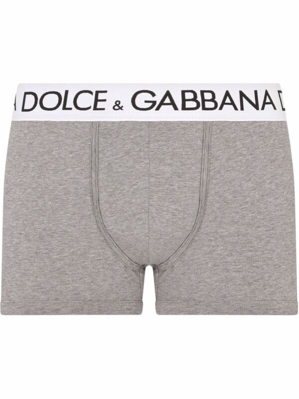 Dolce & Gabbana  logo-waistband stretch briefs