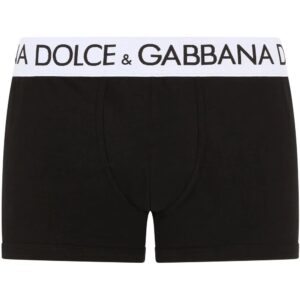 Dolce & Gabbana  logo-waistband stretch briefs