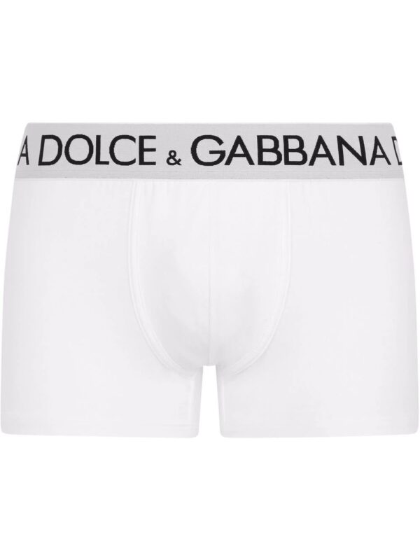 Dolce & Gabbana  logo-waistband stretch briefs