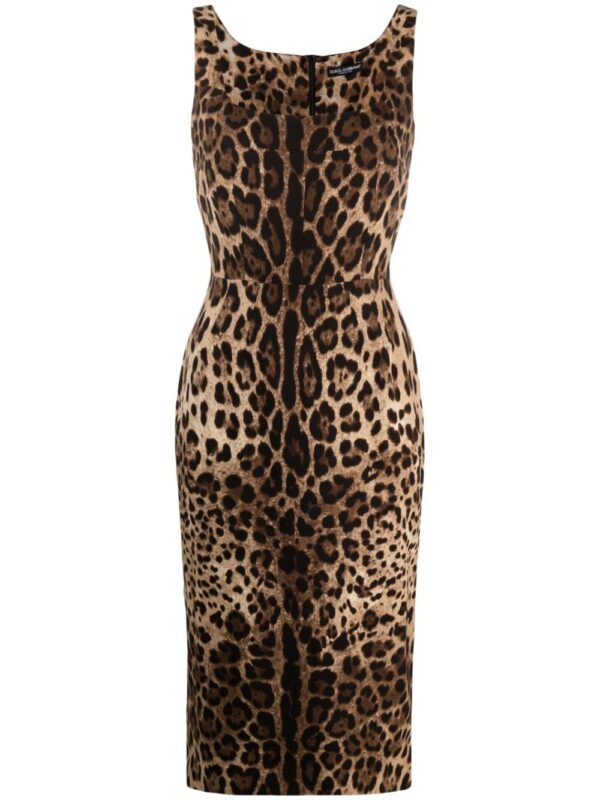 Dolce & Gabbana leopard-print square-neck fitted dress