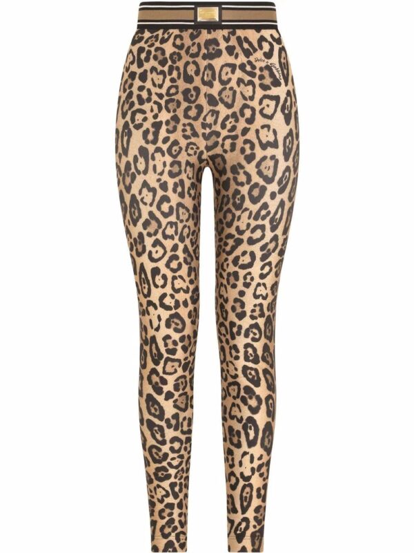 Dolce & Gabbana  leopard-print jersey leggings
