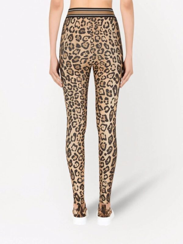 Dolce & Gabbana  leopard-print jersey leggings - Image 4