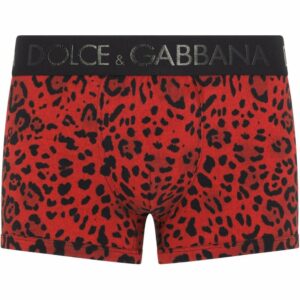 Dolce & Gabbana  leopard-print logo waistband boxers