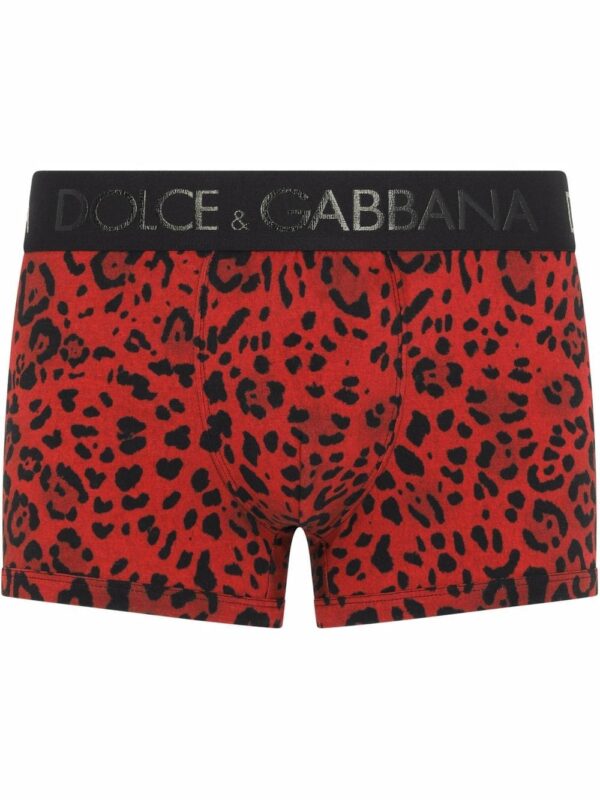 Dolce & Gabbana  leopard-print logo waistband boxers