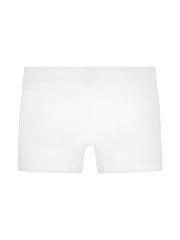 Dolce & Gabbana  embroidered logo boxer shorts - Image 3
