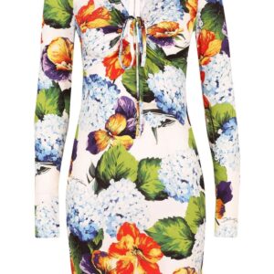 Dolce & Gabbana floral-print mini dress