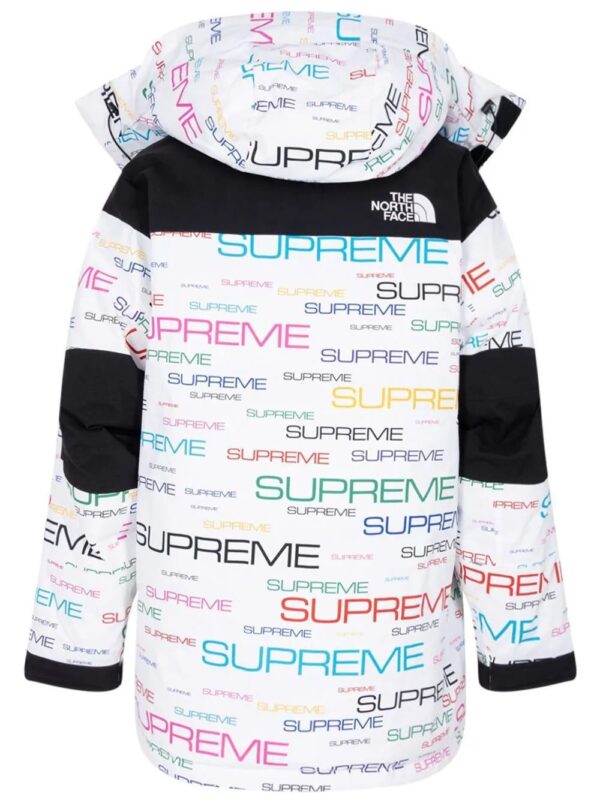Supreme  x TNF Coldworks 700-Fill down parka - Image 2