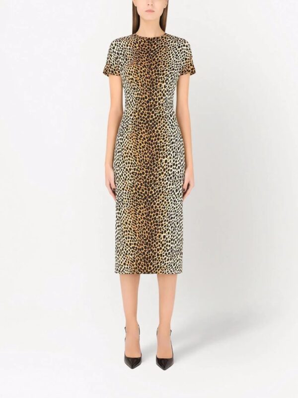 Dolce & Gabbana  leopard print short-sleeve dress - Image 3