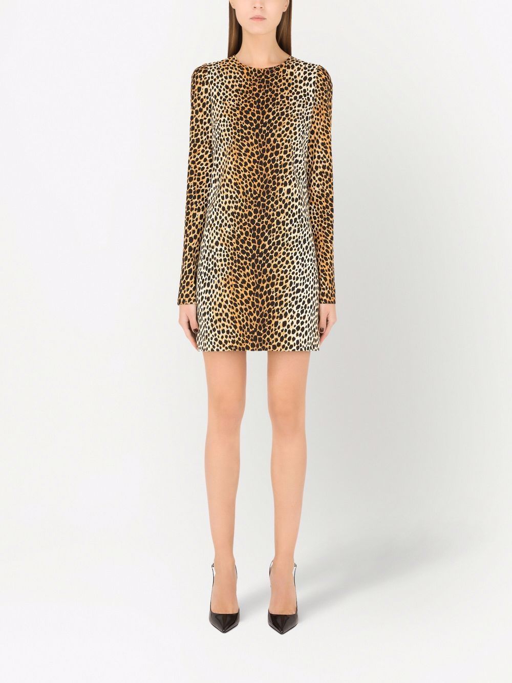 Dolce & Gabbana leopard print dress - Image 3