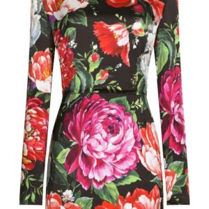 Dolce & Gabbana  floral-print minidress