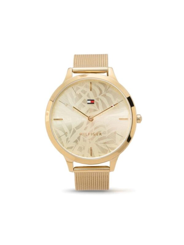 Tommy Hilfiger  gold plated round watch