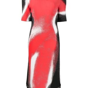 Alexander McQueen  Mushroom Spore-print midi dress
