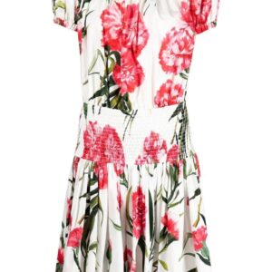 Dolce & Gabbana  Carnation-print flared minidress