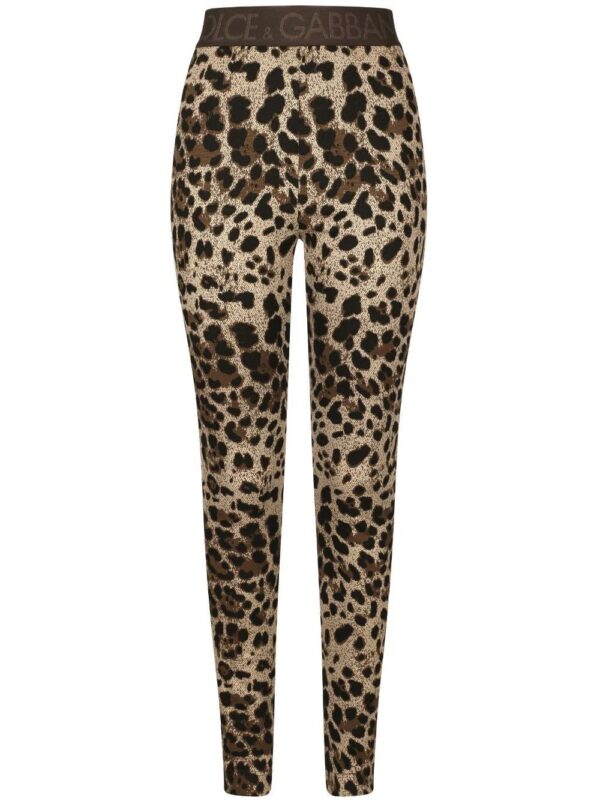 Dolce & Gabbana  logo-waistband leopard-print leggings
