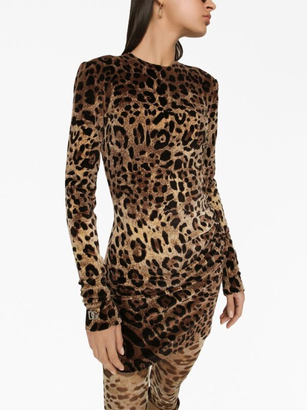Dolce & Gabbana logo-plaque leopard-print dress - Image 5