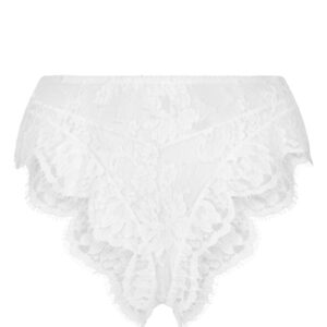 Dolce & Gabbana  floral-lace high-waisted briefs