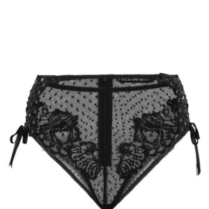 Dolce & Gabbana  lace-detailing sheer briefs