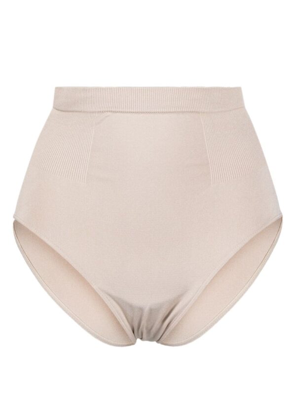 PRISM²  Radiant high-waisted briefs