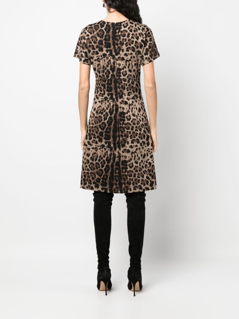 Dolce & Gabbana leopard-jacquard short-sleeved dress - Image 4