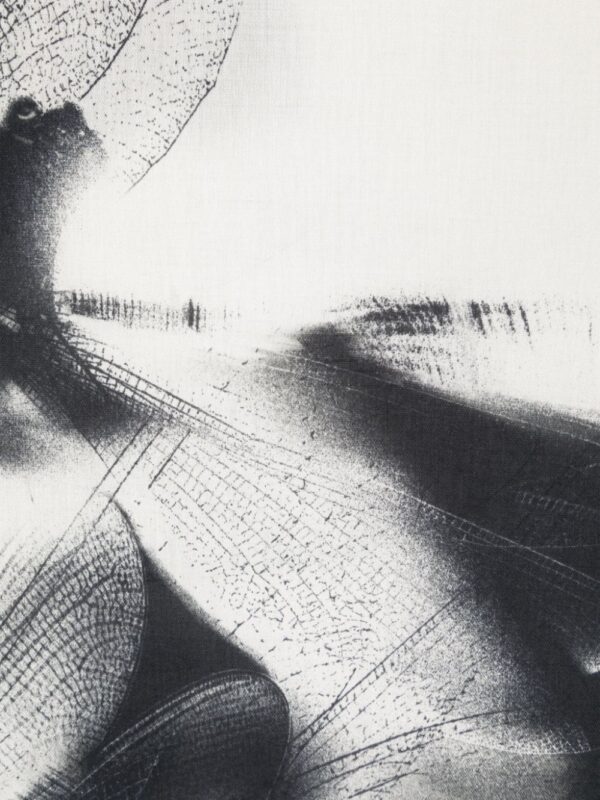Alexander McQueen  St Dragonfly scarf - Image 2