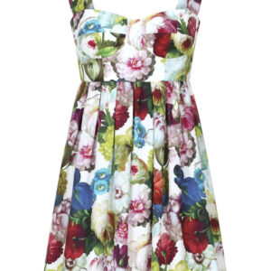 Dolce & Gabbana floral-print corset cotton minidress