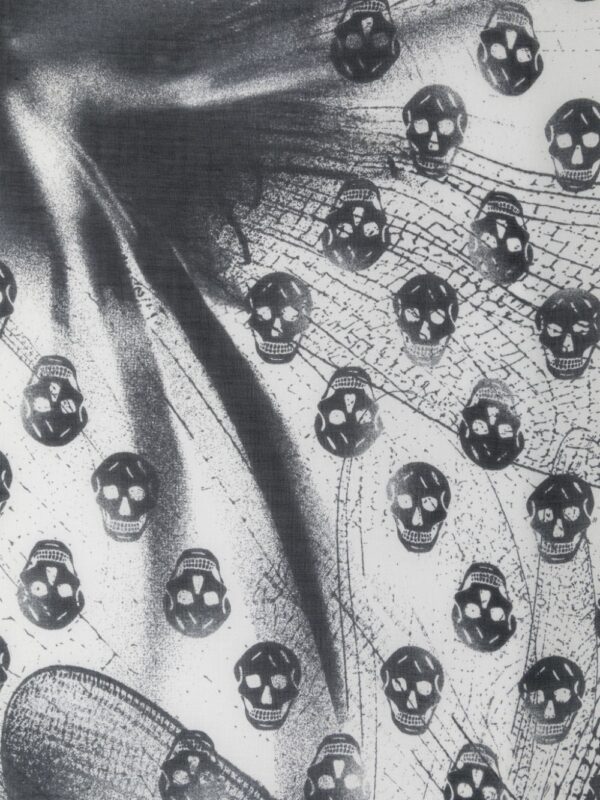 Alexander McQueen  Dragonfly Biker skull-print scarf - Image 2