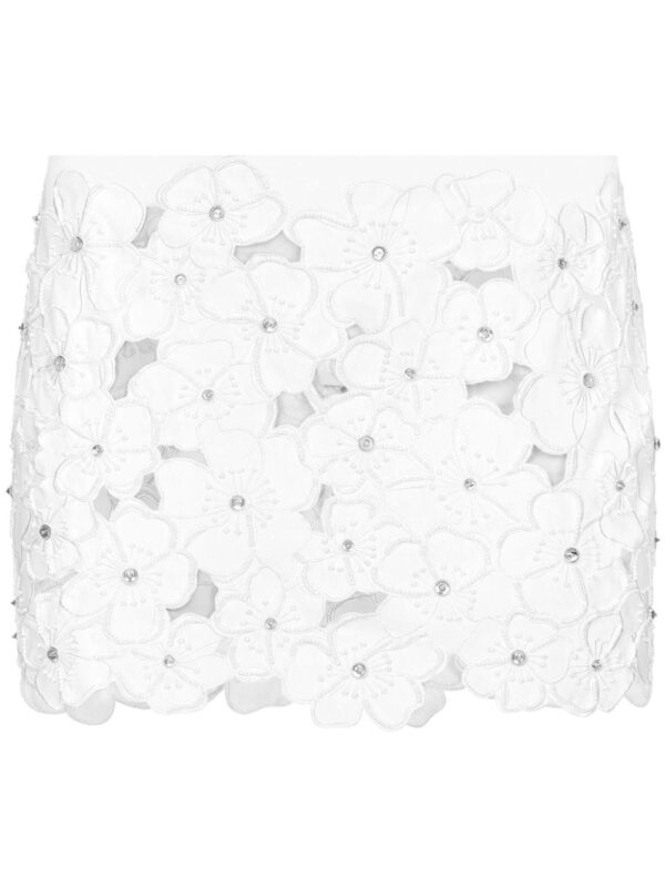 Dolce & Gabbana  floral-embroidery miniskirt