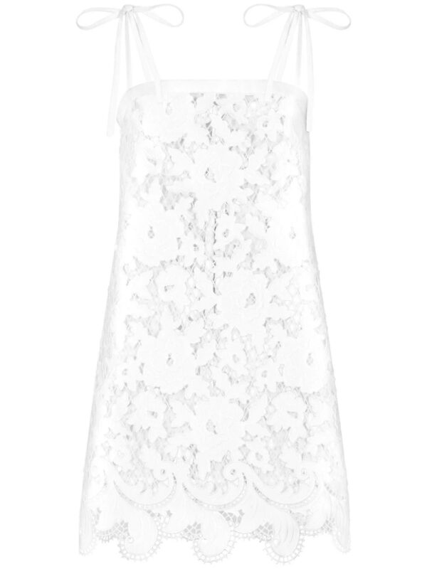 Dolce & Gabbana  embroidered mesh minidress