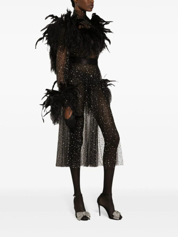 Dolce & Gabbana  feather-trim rhinestone dress - Image 2
