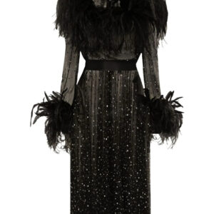 Dolce & Gabbana feather-trim rhinestone dress