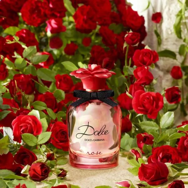 Dolce & gabbana Dolce Rose - Image 3