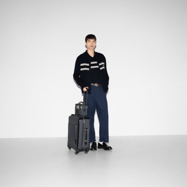 SMALL CABIN TROLLEY WITH INTERLOCKING G - Image 2