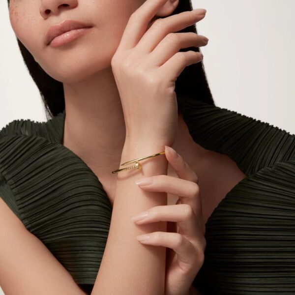 Cartier Juste un Clou bracelet, small model - Image 5