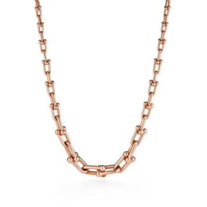Tiffany T Graduated Link Necklace