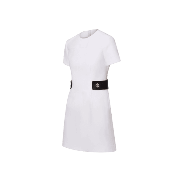 Louis Vuitton Anchor Button Martingale Dress - Image 2