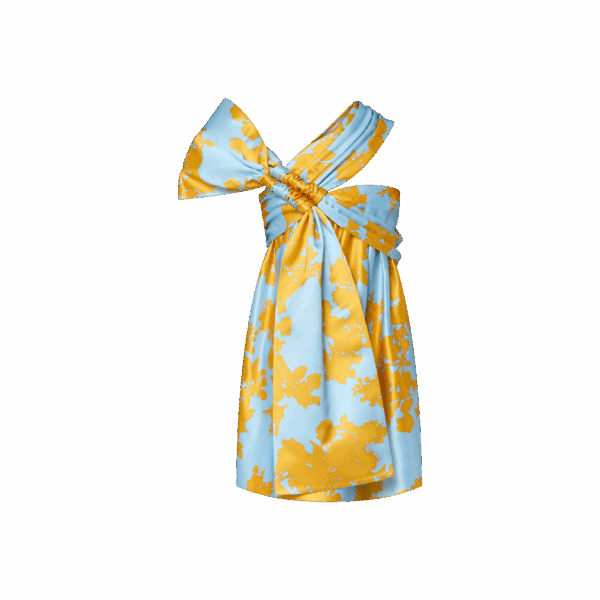 Louis Vuitton Bouquet Print Bow Dress