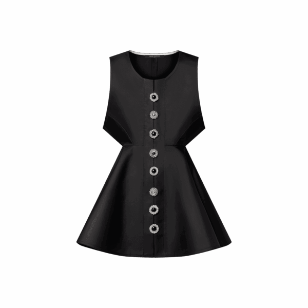 Louis Vuitton  Boxy Button Front Dress