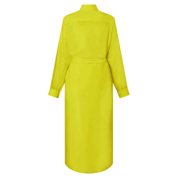 Louis Vuitton Chartreuse Silk Shirt Dress - Image 3