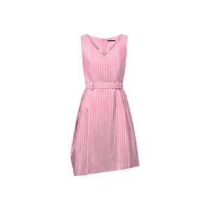 Louis Vuitton Double Stripe Belted Dress