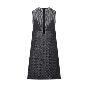 Louis Vuitton Lurex Monogram And Lace Dress