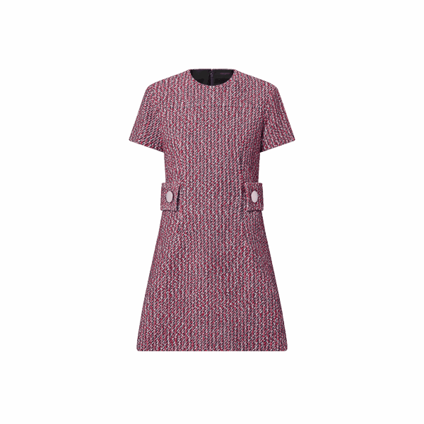 Louis Vuitton Tricolor Skater Dress