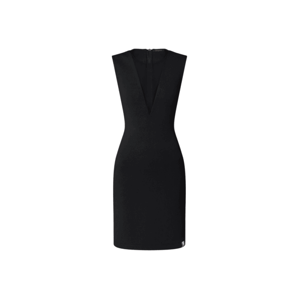 Louis Vuitton Tulle Insert Fitted Dress