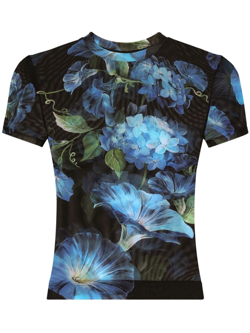 Dolce & Gabbana floral-print sheer top