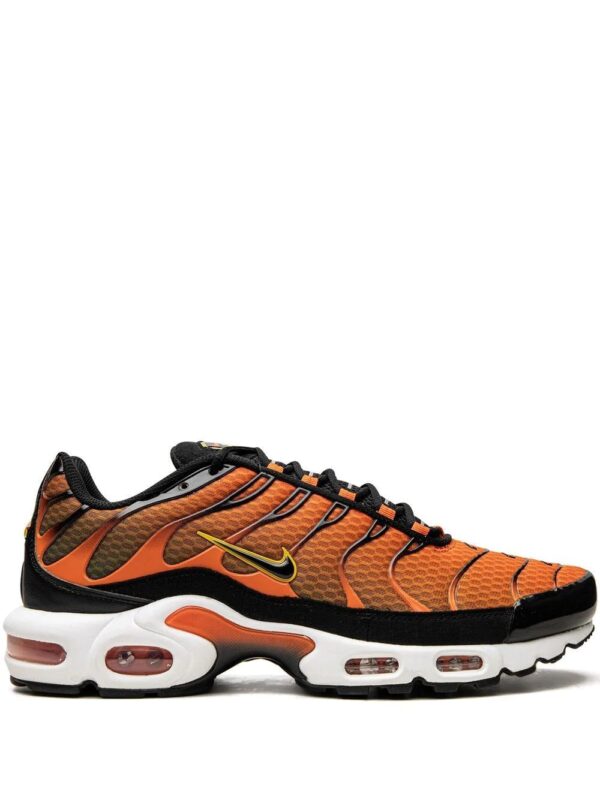 Nike  Air Max Plus sneakers